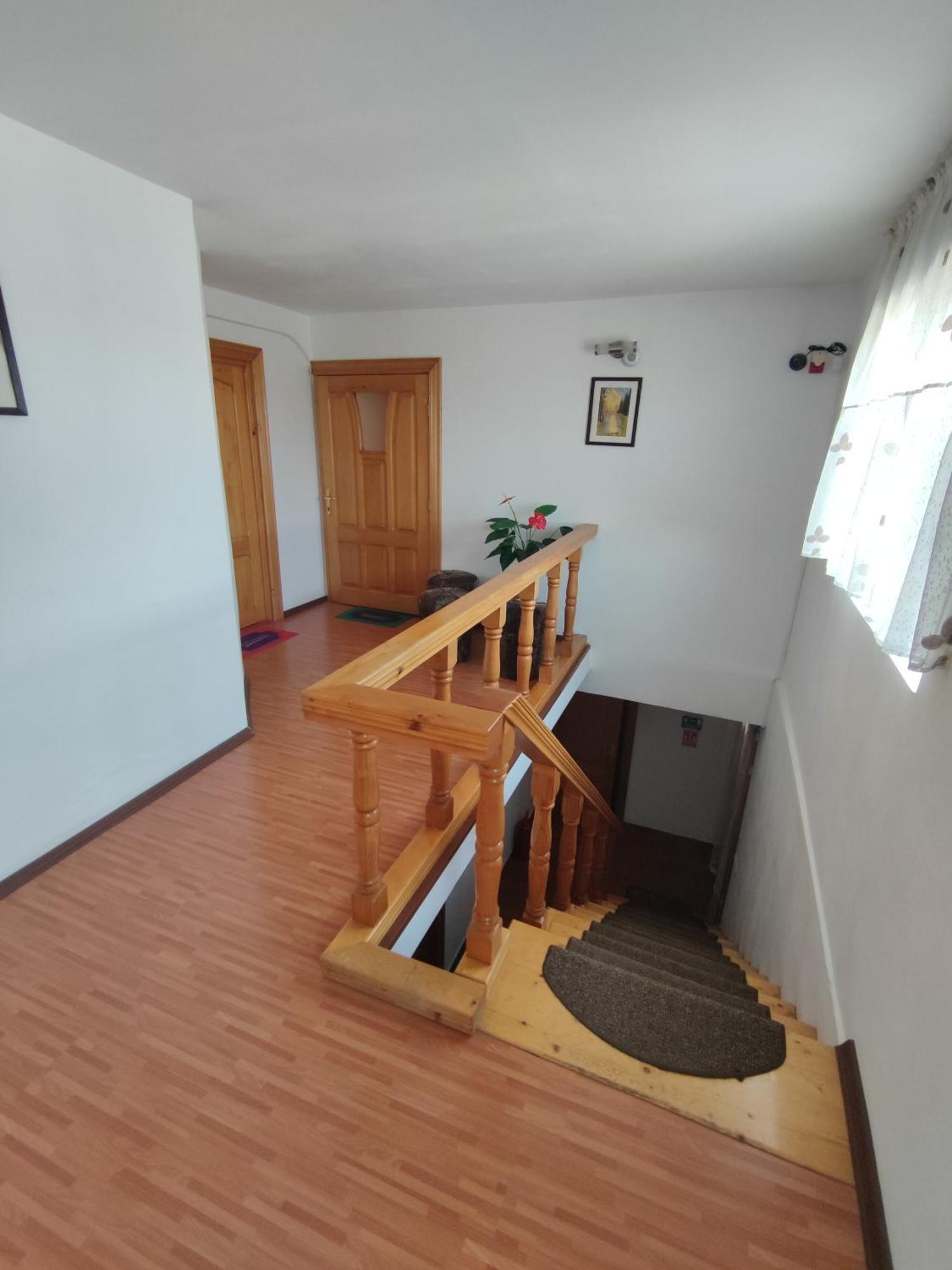 Camere de inchiriat EDELWEISS Dumbrava Roşie Extérieur photo