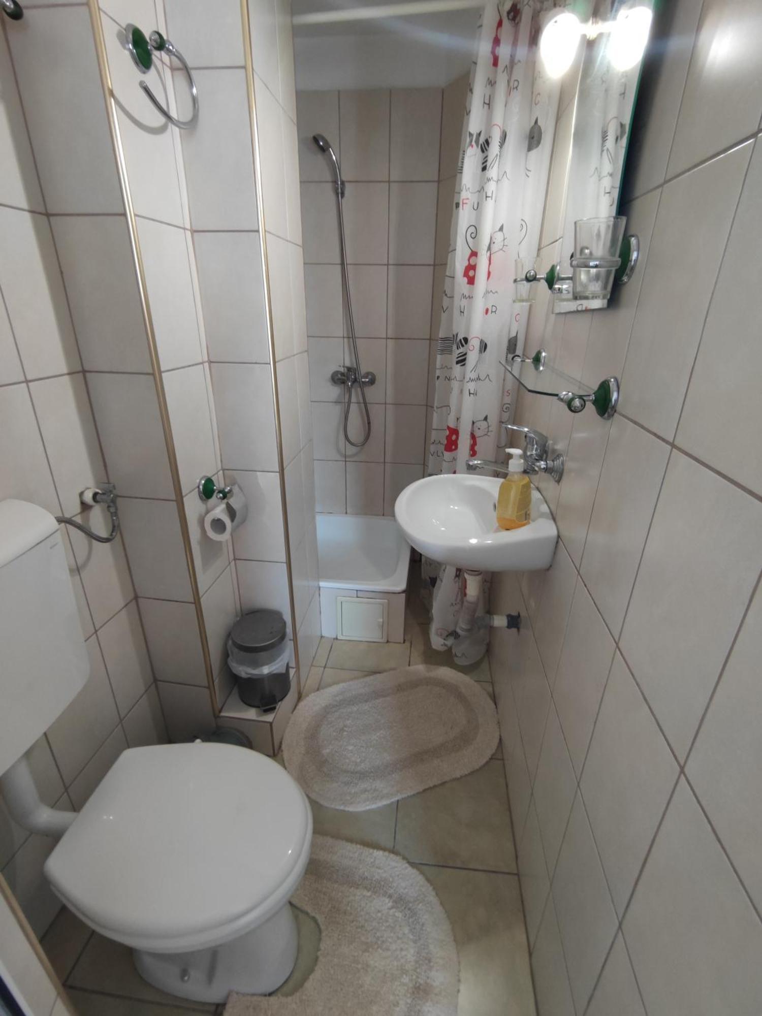 Camere de inchiriat EDELWEISS Dumbrava Roşie Extérieur photo
