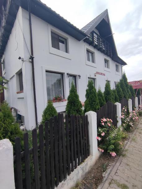 Camere de inchiriat EDELWEISS Dumbrava Roşie Extérieur photo